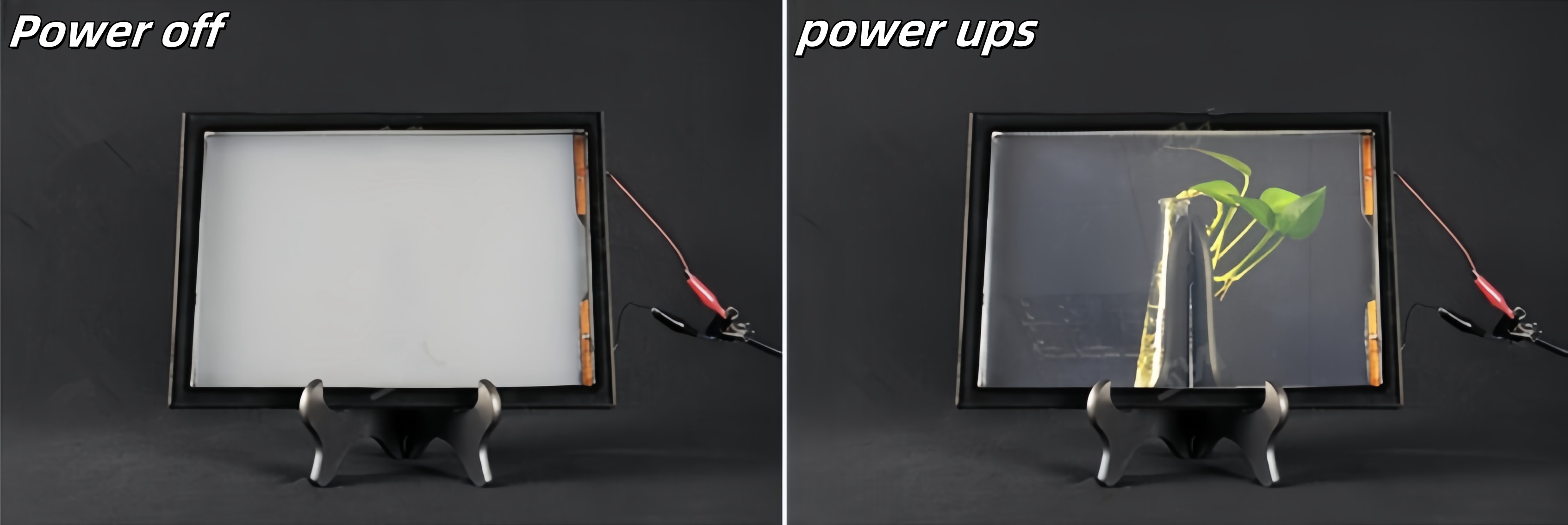 1736926369856_副本 1736926369856_副本