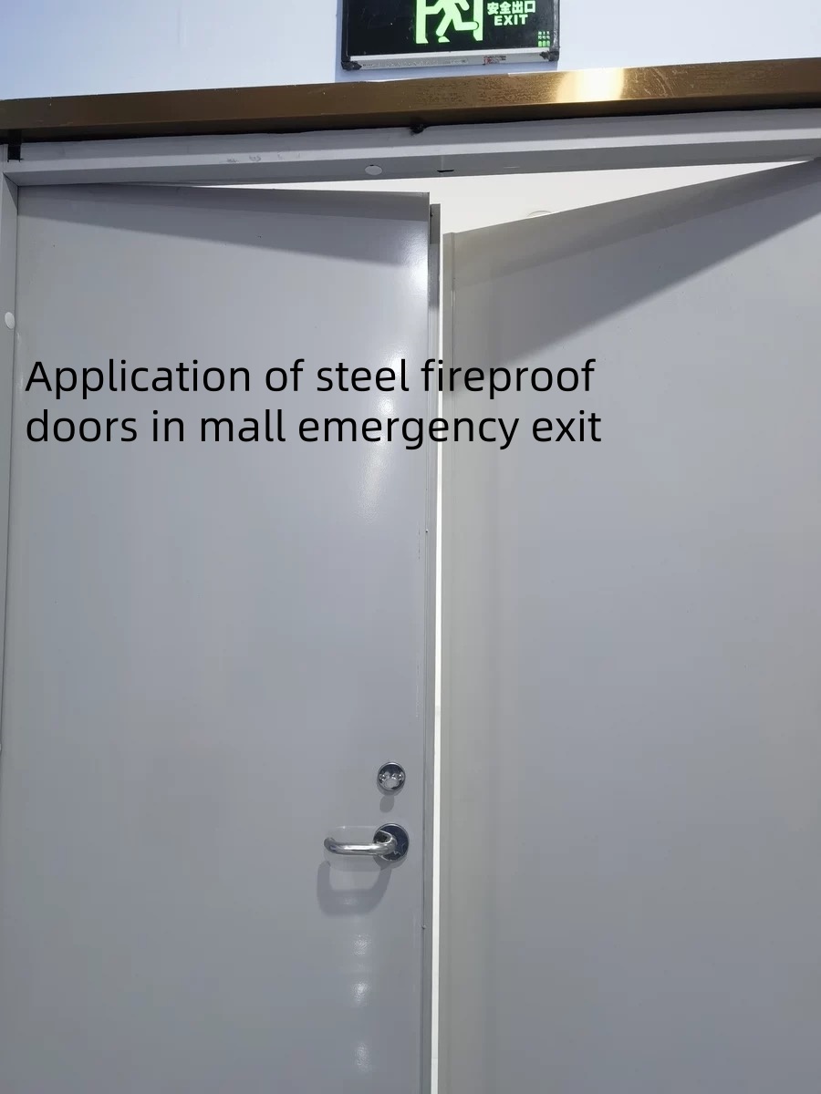 Puerta con calificación de fuego de acero